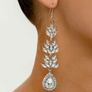Elegant Silver Drop Earrings
